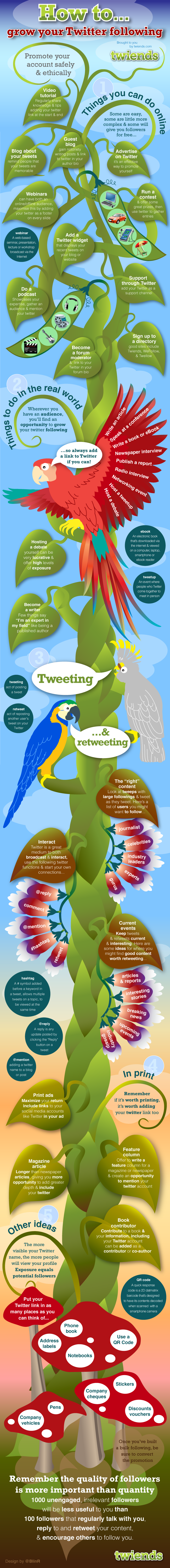 Grow Twitter Infograhpic