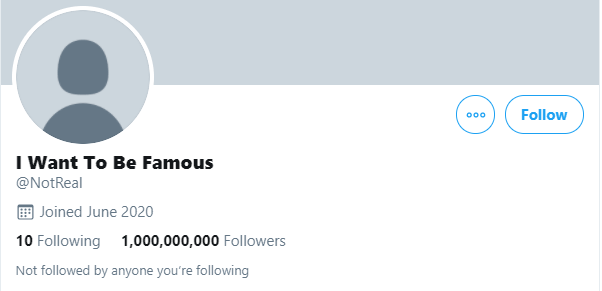 fake twitter account