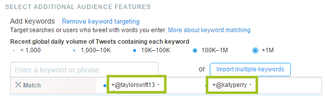 screenshot of twitter ads targeting