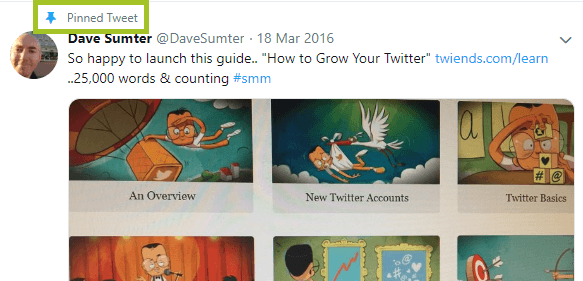 screenshot of pinned tweet